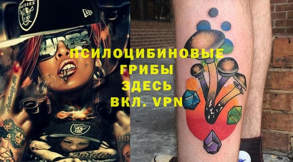 PSILOCYBIN Лагань