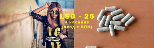 PSILOCYBIN Лагань