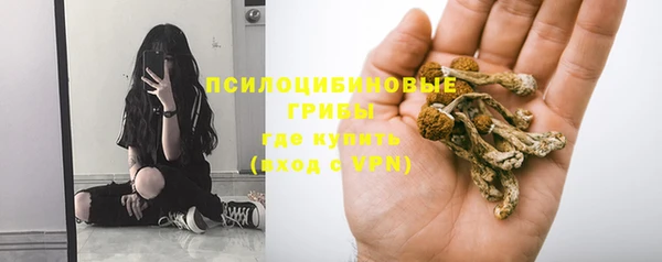 PSILOCYBIN Лагань